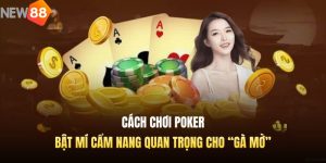 Cách Chơi Poker: Bật Mí Cẩm Nang Quan Trọng Cho “Gà Mờ”