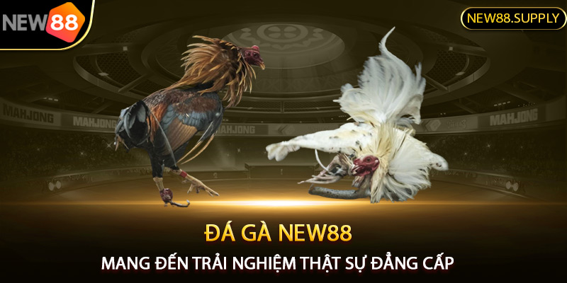 New88 mang đến trải nghiệm tối ưu cho sảnh đá gà